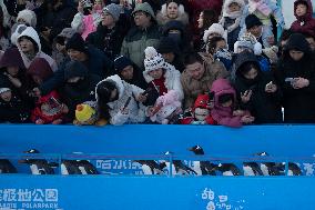 Tourism Penguins Parade - Harbin