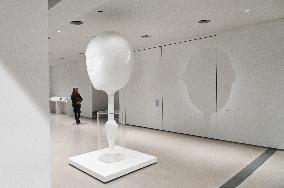 Illustration - Fondation Cartier