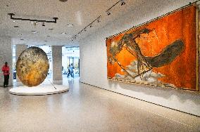 Illustration - Fondation Cartier