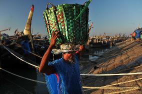 Fishers Unload Fresh Seafood by Boats - Chittagong