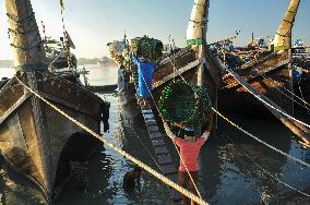 Fishers Unload Fresh Seafood by Boats - Chittagong