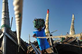 Fishers Unload Fresh Seafood by Boats - Chittagong