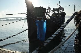 Fishers Unload Fresh Seafood by Boats - Chittagong