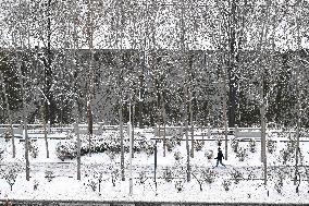 Snowy Landscapes - China