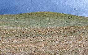 Changtang National Nature Reserve - China