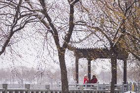 Snowy Landscapes - China