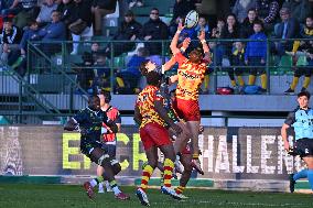 RUGBY - Challenge Cup - Benetton Rugby vs Usap Perpignan