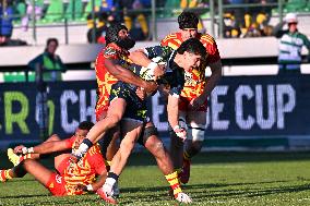 RUGBY - Challenge Cup - Benetton Rugby vs Usap Perpignan