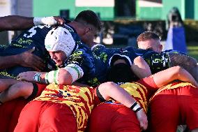 RUGBY - Challenge Cup - Benetton Rugby vs Usap Perpignan
