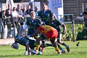 RUGBY - Challenge Cup - Benetton Rugby vs Usap Perpignan