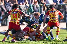 RUGBY - Challenge Cup - Benetton Rugby vs Usap Perpignan