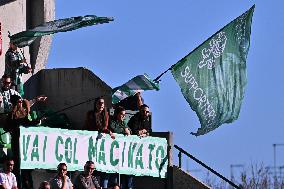 RUGBY - Challenge Cup - Benetton Rugby vs Usap Perpignan