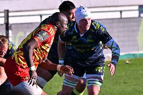 RUGBY - Challenge Cup - Benetton Rugby vs Usap Perpignan