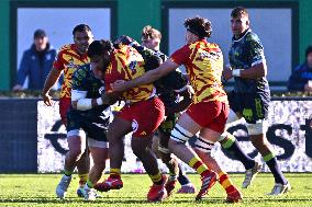 RUGBY - Challenge Cup - Benetton Rugby vs Usap Perpignan