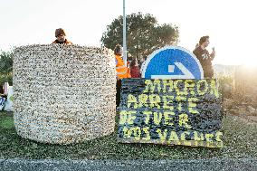 Farmers Protest Against Government's Health Policy on CND - France