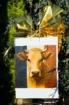 Farmers Protest Against Government's Health Policy on CND - France