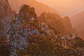 Huangshan Mountain Scenery - China