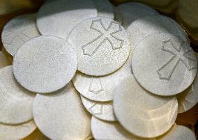 Pope Leo XIV Celebrates Holy Jubilee Mass - Vatican