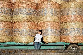Farmers Protest And Block On Highway A64 - France