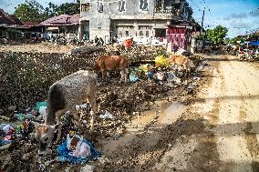 The Asia Pacific Senyar Tropical Cyclone Disaster Aftermath - Indonesia