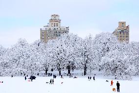 Snow During Winter Storm - NYC