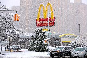 Snow During Winter Storm - NYC