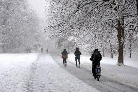 Snow During Winter Storm - NYC