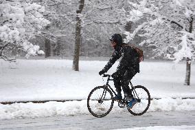 Snow During Winter Storm - NYC