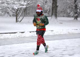 Snow During Winter Storm - NYC