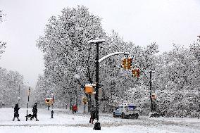 Snow During Winter Storm - NYC