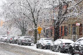 Snow During Winter Storm - NYC