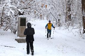 Snow During Winter Storm - NYC