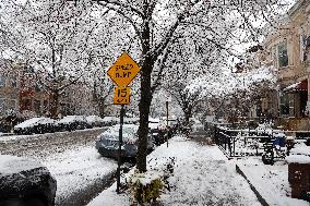 Snow During Winter Storm - NYC