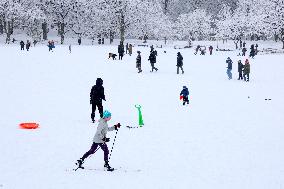 Snow During Winter Storm - NYC