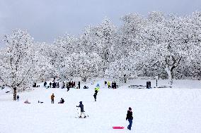 Snow During Winter Storm - NYC