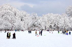 Snow During Winter Storm - NYC
