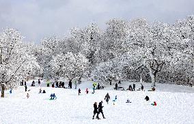 Snow During Winter Storm - NYC