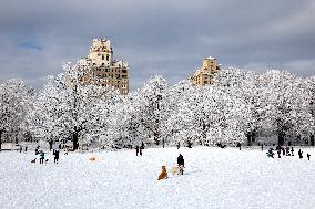 Snow During Winter Storm - NYC