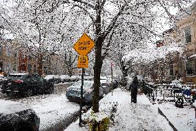Snow During Winter Storm - NYC