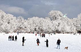 Snow During Winter Storm - NYC