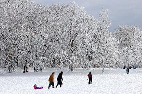 Snow During Winter Storm - NYC