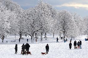 Snow During Winter Storm - NYC