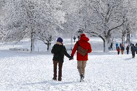 Snow During Winter Storm - NYC