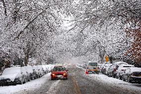 Snow During Winter Storm - NYC