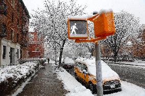 Snow During Winter Storm - NYC