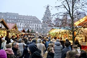 Christmas Market Security - Strasbourg