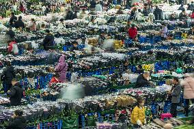 Largest Flower Market in Asia