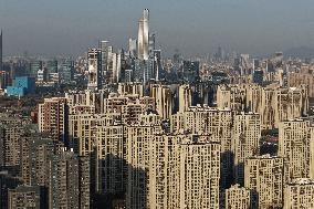 Real Estate Development Investment in China