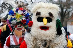Bucharest White Flowers Festival - Romania