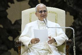 Pope Leo XIV Audience With Donors of the Christmas Tree and Nativity - Vatican